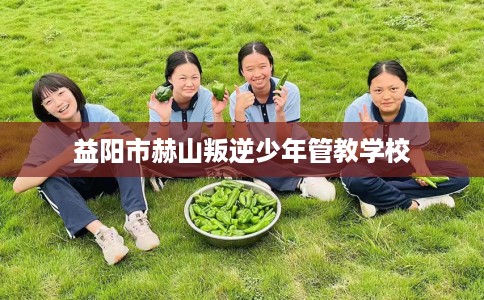益阳市赫山叛逆少年管教学校
