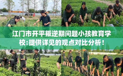 江门市开平叛逆期问题小孩教育学校:提供详见的观点对比分析！