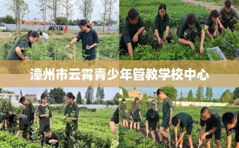 漳州市云霄青少年管教学校中心 漳州市云霄青少年管教学校中心