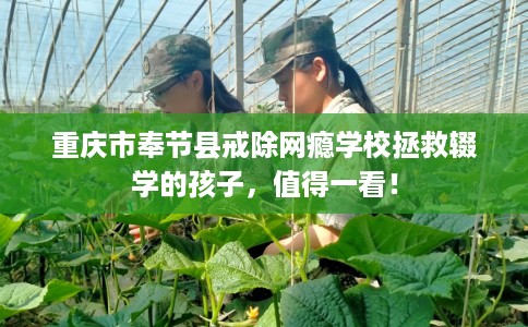重庆市奉节县戒除网瘾学校拯救辍学的孩子，值得一看！