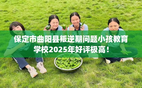 保定市曲阳县叛逆期问题小孩教育学校2025年好评极高! 保定市曲阳县叛逆期问题小孩教育学校2025年好评极高!