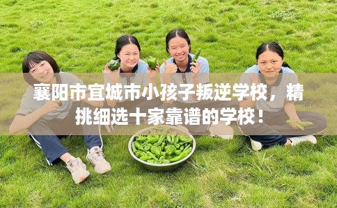 襄阳市宜城市小孩子叛逆学校，精挑细选十家靠谱的学校！