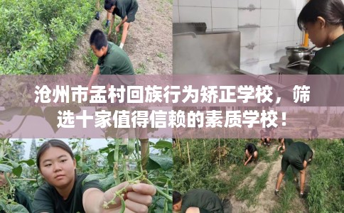 沧州市孟村回族行为矫正学校，筛选十家值得信赖的素质学校！