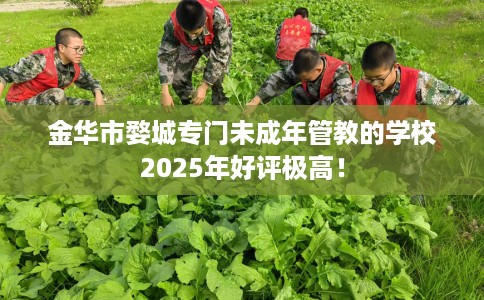 金华市婺城专门未成年管教的学校2025年好评极高！