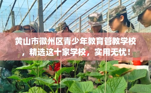 黄山市徽州区青少年教育管教学校,精选这十家学校,实用无忧! 黄山市徽州区青少年教育管教学校,精选这十家学校,实用无忧!