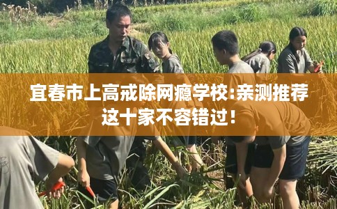 宜春市上高戒除网瘾学校:亲测推荐这十家不容错过！