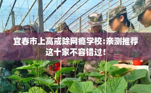 宜春市上高戒除网瘾学校:亲测推荐这十家不容错过！