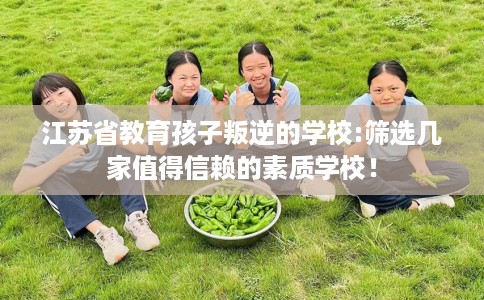 江苏省教育孩子叛逆的学校:筛选几家值得信赖的素质学校！