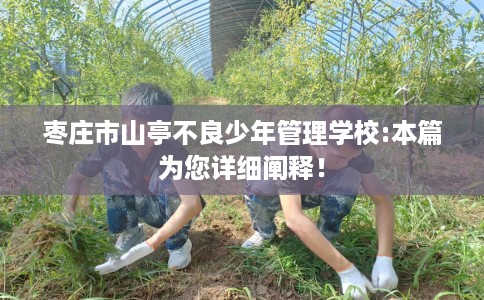 枣庄市山亭不良少年管理学校:本篇为您详细阐释！