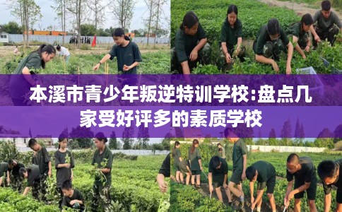 本溪市青少年叛逆特训学校:盘点几家受好评多的素质学校