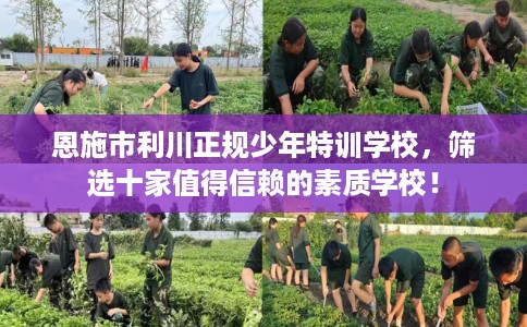 恩施市利川正规少年特训学校，筛选十家值得信赖的素质学校！