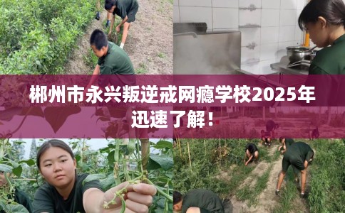 郴州市永兴叛逆戒网瘾学校2025年迅速了解! 郴州市永兴叛逆戒网瘾学校2025年迅速了解!