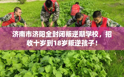 济南市济阳全封闭叛逆期学校,招收十岁到18岁叛逆孩子! 济南市济阳全封闭叛逆期学校,招收十岁到18岁叛逆孩子!