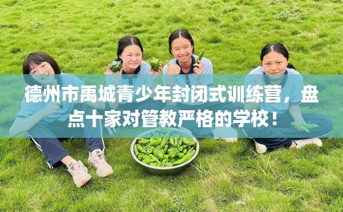 德州市禹城青少年封闭式训练营，盘点十家对管教严格的学校！