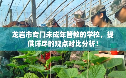 龙岩市专门未成年管教的学校，提供详尽的观点对比分析！