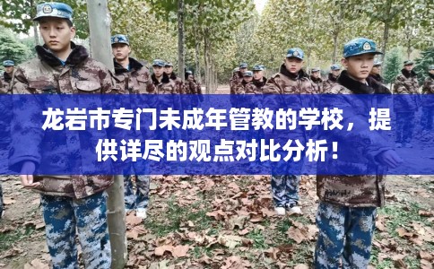 龙岩市专门未成年管教的学校，提供详尽的观点对比分析！