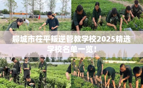 聊城市茌平叛逆管教学校2025精选学校名单一览! 聊城市茌平叛逆管教学校2025精选学校名单一览!