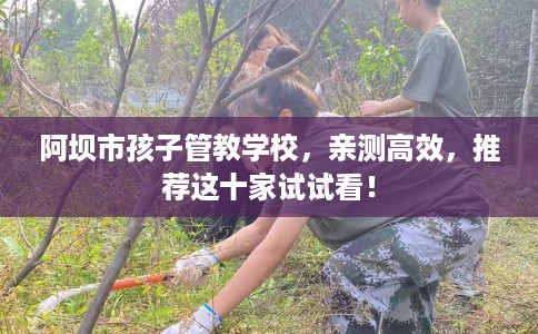 阿坝市孩子管教学校，亲测高效，推荐这十家试试看！