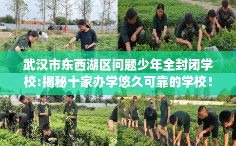 武汉市东西湖区问题少年全封闭学校:揭秘十家办学悠久可靠的学校！