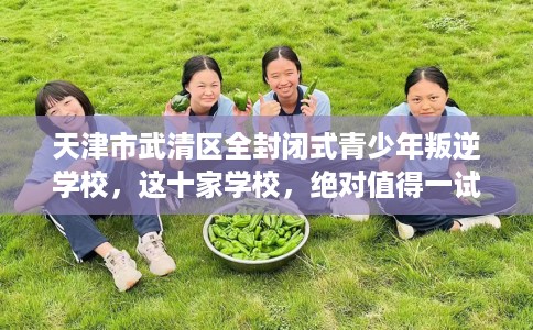 天津市武清区全封闭式青少年叛逆学校，这十家学校，绝对值得一试！