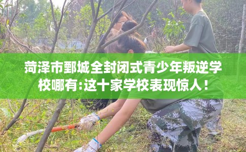 菏泽市鄄城全封闭式青少年叛逆学校哪有:这十家学校表现惊人！