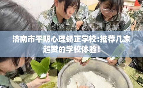 济南市平阴心理矫正学校:推荐几家超赞的学校体验！