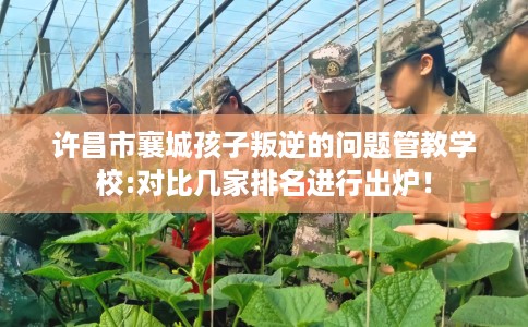 许昌市襄城孩子叛逆的问题管教学校:对比几家排名进行出炉！