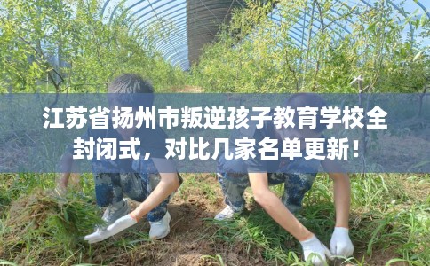 江苏省扬州市叛逆孩子教育学校全封闭式，对比几家名单更新！