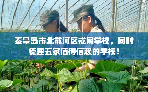 秦皇岛市北戴河区戒网学校,同时梳理五家值得信赖的学校! 秦皇岛市北戴河区戒网学校,同时梳理五家值得信赖的学校!