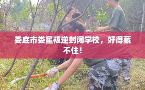 娄底市娄星叛逆封闭学校,好得藏不住! 娄底市娄星叛逆封闭学校,好得藏不住!