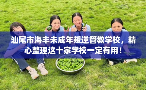 汕尾市海丰未成年叛逆管教学校，精心整理这十家学校一定有用！