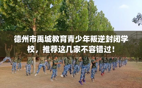 德州市禹城教育青少年叛逆封闭学校，推荐这几家不容错过！
