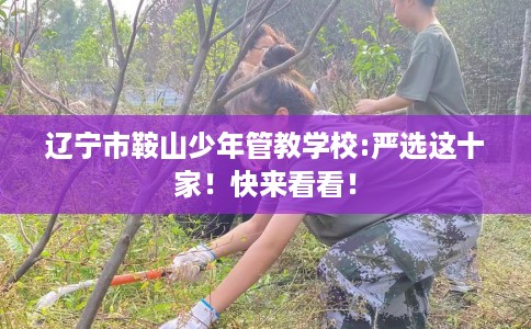 辽宁市鞍山少年管教学校:严选这十家!快来看看! 辽宁市鞍山少年管教学校:严选这十家!快来看看!