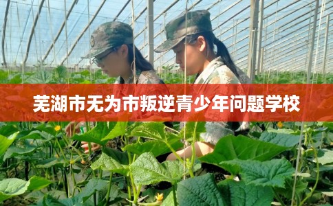 芜湖市无为市叛逆青少年问题学校