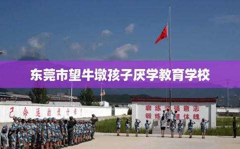 东莞市望牛墩孩子厌学教育学校