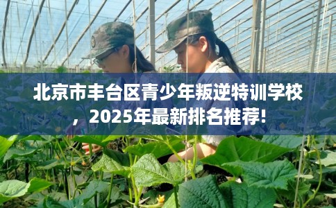北京市丰台区青少年叛逆特训学校，2025年最新排名推荐!