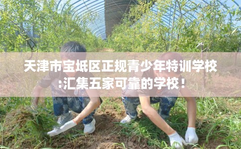 天津市宝坻区正规青少年特训学校:汇集五家可靠的学校！