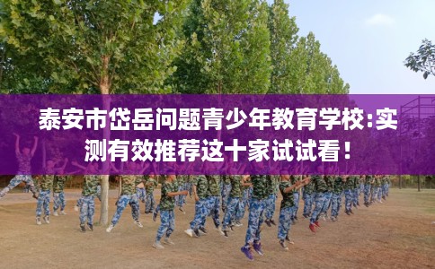 泰安市岱岳问题青少年教育学校:实测有效推荐这十家试试看！