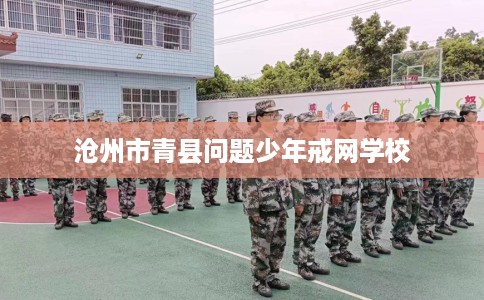 沧州市青县问题少年戒网学校