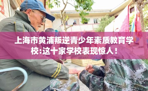 上海市黄浦叛逆青少年素质教育学校:这十家学校表现惊人！