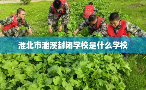 淮北市濉溪封闭学校是什么学校