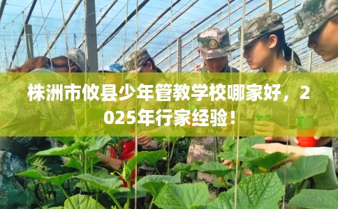株洲市攸县少年管教学校哪家好，2025年行家经验！