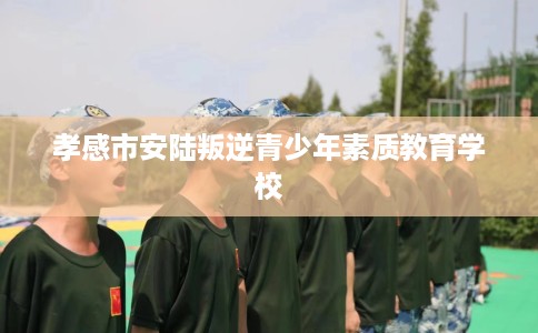 孝感市安陆叛逆青少年素质教育学校