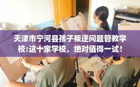 天津市宁河县孩子叛逆问题管教学校:这十家学校，绝对值得一试！