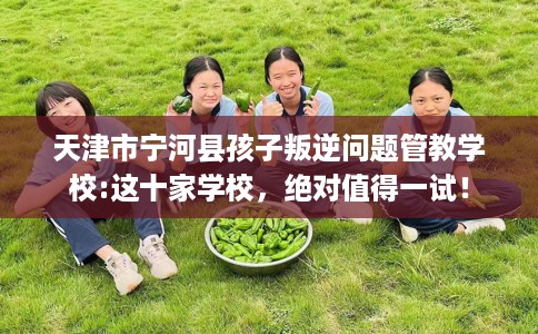 天津市宁河县孩子叛逆问题管教学校:这十家学校，绝对值得一试！