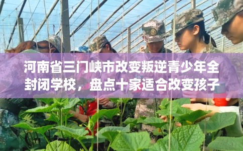 河南省三门峡市改变叛逆青少年全封闭学校,盘点十家适合改变孩子的学校! 河南省三门峡市改变叛逆青少年全封闭学校,盘点十家适合改变孩子的学校!