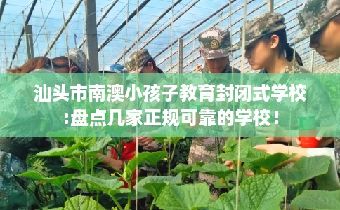 汕头市南澳小孩子教育封闭式学校:盘点几家正规可靠的学校！