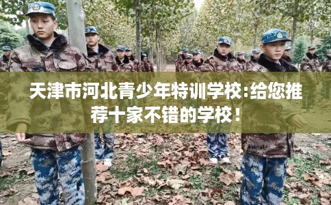 天津市河北青少年特训学校:给您推荐十家不错的学校！