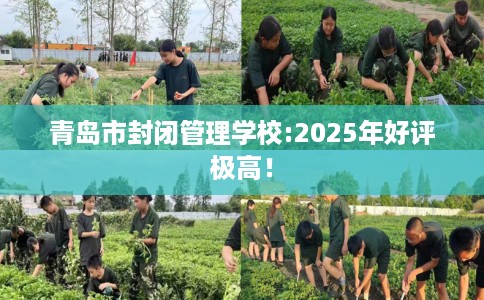 青岛市封闭管理学校:2025年好评极高！