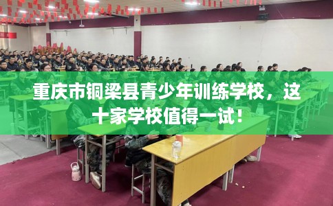 重庆市铜梁县青少年训练学校,这十家学校值得一试! 重庆市铜梁县青少年训练学校,这十家学校值得一试!